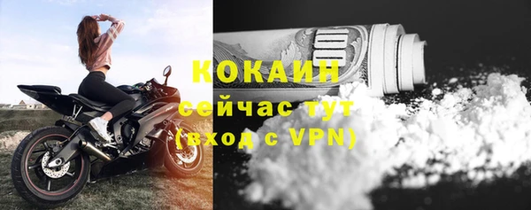 молекула духа Белоозёрский